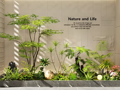 Indoor Landscape With Nature and Life Theme Featuring Various Green Plants and Stone Decorations 3d model