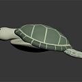 Cute Green And White Turtle Toy With Textured Shell And Smooth Surface 3d model