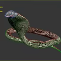 Venomous Cobra With Expanded Hood Coiled Scaled Body On Dark Background 3d model