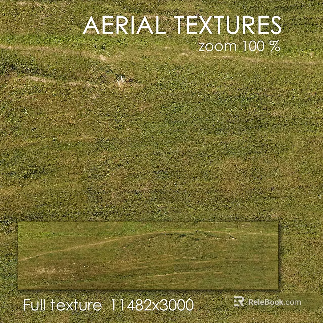 Green Grass Field Close Up View With Natural Texture And Outdoor Details 3d model 