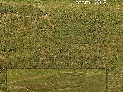 Green Grass Field Close Up View With Natural Texture And Outdoor Details 3d model