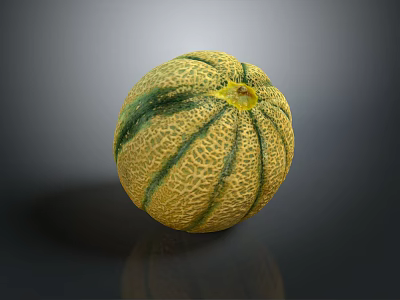 Healthy Fresh Ripe Cantaloupe Melon With Yellow Green Striped Textured Skin 3d model