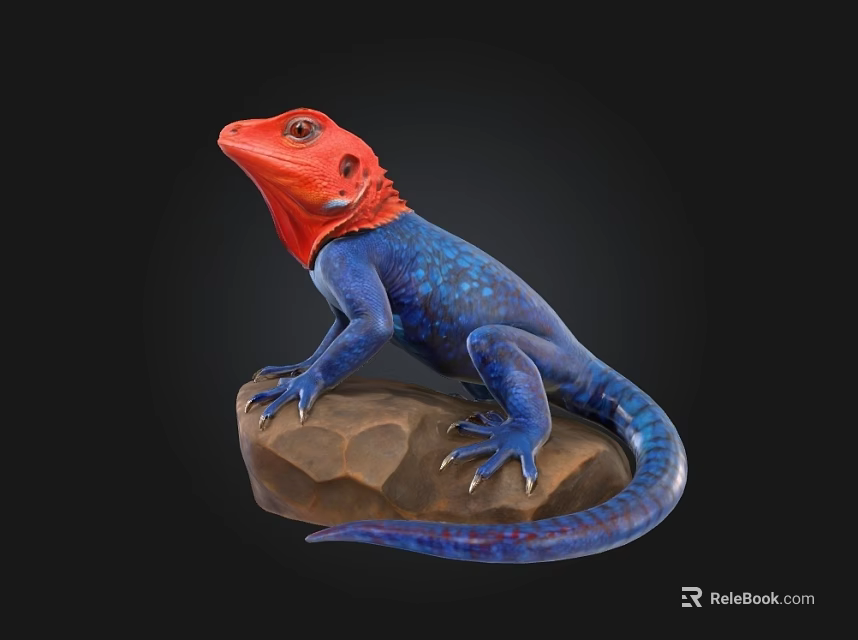 Vibrant Reptile Lizard With Red Head And Blue Body Standing On Rock Against Black Background 3d model 