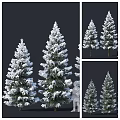 Snow Covered Evergreen Tree with Dense Foliage and Natural Winter Shape