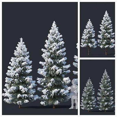 Snow Covered Evergreen Tree with Dense Foliage and Natural Winter Shape 3d model