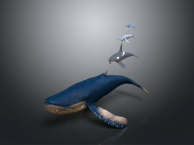 Large Blue Whale Swimming With Dolphins And Shark In Natural Ocean Habitat 3d model