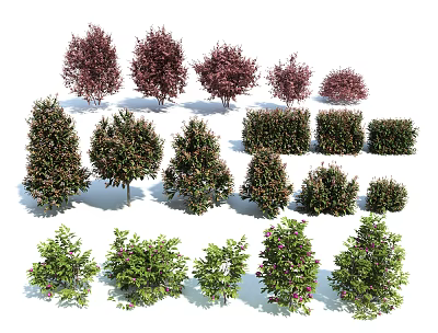 Combination of modern shrubs and shrubs 3d model