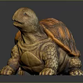 Turtle Cartoon Turtle Snapping Turtle Chickbill Turtle Reptile Cold Blooded Animal Reptile Class 3d model