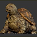 Turtle Turtle Cartoon Turtle Snapping Turtle Chickbill Turtle Reptile Cold Blooded Animal Reptile Reptile Class 3d model