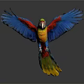 Colorful Parrot With Spread Wings And Vibrant Feathers On Gray Background