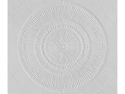 Intricate Architectural Decorative Component Featuring Concentric Circles And Radial Lines 3d model