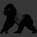 Realistic Gorilla With Black Fur And Detailed Texture In Standing Pose
