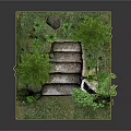 Natural Stone Stairs Surrounded By Pine Trees And Lush Green Foliage