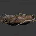 Handmade Natural Plant Twig Bird Nest Structure Isolated On White Background