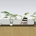 Bonsai Potted Plants with Fern Leaves on Wooden Counter and Ceramic Pots