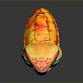 Turtle Cartoon Turtle Snapping Turtle Chickbill Turtle Reptile Cold Blooded Animal Reptile Class 3d model