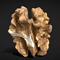 Halved Walnut Kernel Natural Healthy Food with Smooth Texture on Dark Background