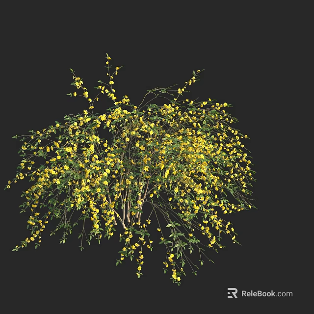 Lush Green Plant With Yellow Flowers And Hanging Branches On Black Background 3d model 