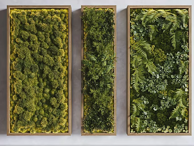 Three Vertical Living Plant Walls With Various Greenery In Wooden Frames 3d model