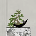 Bonsai Plant With Curved Trunk Green Foliage On Black Pot Marble Stand
