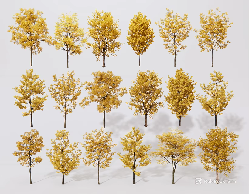 Trees With Golden Leaves Arranged in Multiple Rows Against White Background 3d model 