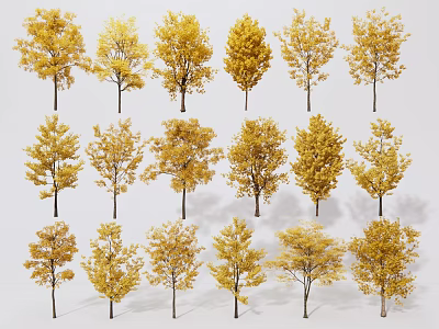 Trees With Golden Leaves Arranged in Multiple Rows Against White Background 3d model