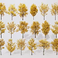 Trees With Golden Leaves Arranged in Multiple Rows Against White Background 3d model