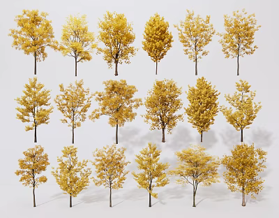 Trees With Golden Leaves Arranged in Multiple Rows Against White Background 3d model