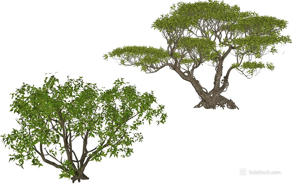 Arbor Trees Showcasing Lush Green Foliage and Unique Trunk Shapes 3d model 