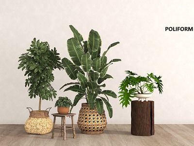 Green plant potted plant combination 3d model