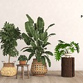 Green plant potted plant combination 3d model