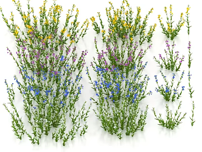 Colorful Flowers And Green Plants With Yellow Purple Blue Blooms 3d model