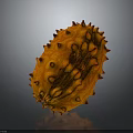 Fresh Orange Spiky Kiwano Fruit With Bumpy Surface On Dark Background