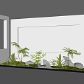 Modern Minimalist Indoor Landscape With White Walls Ferns Bamboo And Stones
