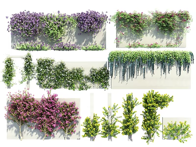 Different Types of Colorful Vines Featuring Purple Green Hanging Climbing Decorative Varieties 3d model