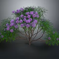 Vibrant Plant Featuring Purple Flowers Lush Green Leaves And Brown Branches