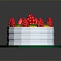 Fresh Fruit Decorated Cake with Strawberries Kiwis and Orange Slices on Green Plate