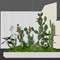 Modern Indoor Landscape With Cactus Succulents And Large Planter In Bright Room