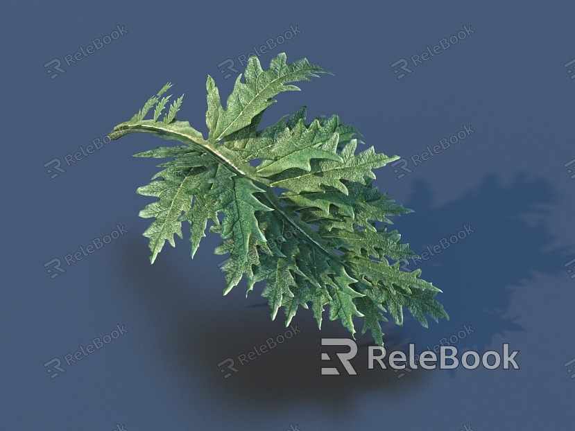 vegetable leaf food model