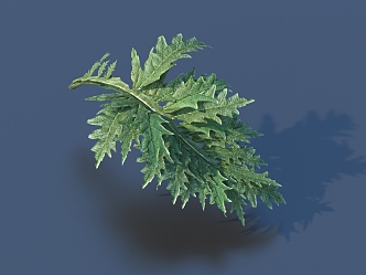 vegetable leaf food 3d model