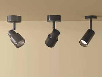 Modern Downlight Spotlight 3d model
