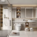Modern Bathroom Interior Design With Large Mirror Storage Cabinets Vanity Toilet Rug And Woven Baskets