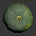 Fresh Organic Green Pumpkin With Natural Stem And Shiny Surface On Dark Background