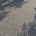 Gray Asphalt Pavement Component With Natural Tree Shadows On Smooth Surface