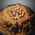 Reptile Parent Guarding Eggs in Natural Brown Earth Nest with Round Shells