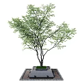 Outdoor Tree Pit Featuring Green Leafy Tree And Square Stone Base Design 3d model