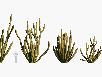 Cactus Bonsai Potted Plants In Various Sizes With Human Figure For Scale 3d model