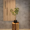 Natural Style Bonsai Potted Plant With Wooden Log Stand And Green Leaves Against Gray Wall