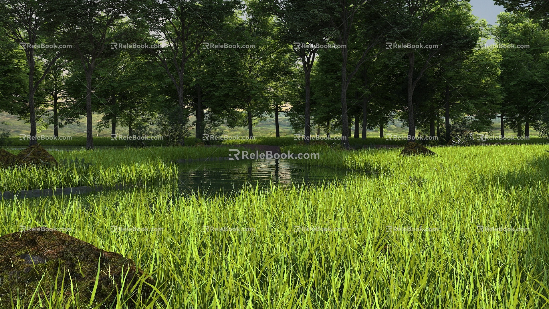 Rivers Lawn Trees Riverside Forest 3d model