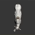White Brahma Bull With Black Horns Standing On Gray Background Surface